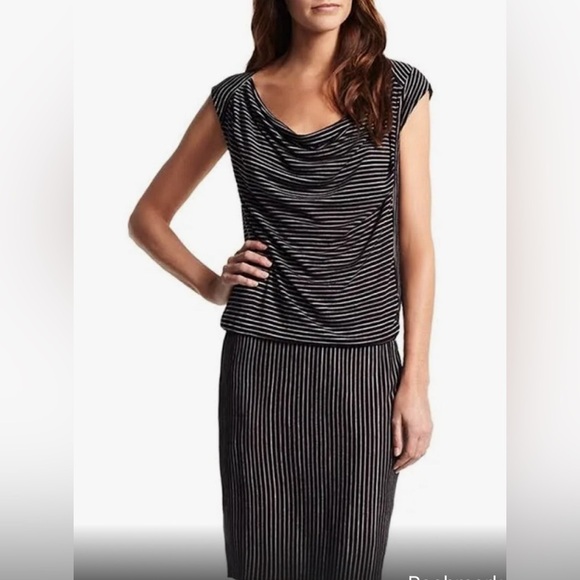 Derek Lam Dresses & Skirts - Derek Lam casual drop waist striped mini dress, size L, excellent condition